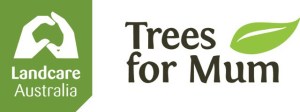 trees for mum banner