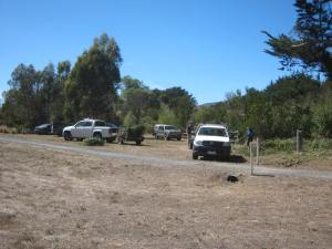 'Willow Attack' Working Bee, February 2016