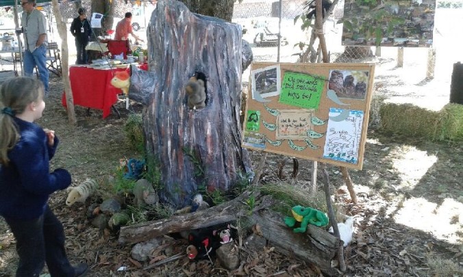 Puppet play with 'the stump' at the Macedon ranges Sustainability Festival