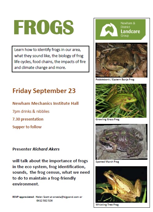 frogs-poster