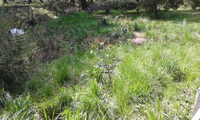 20160925_111455_resized