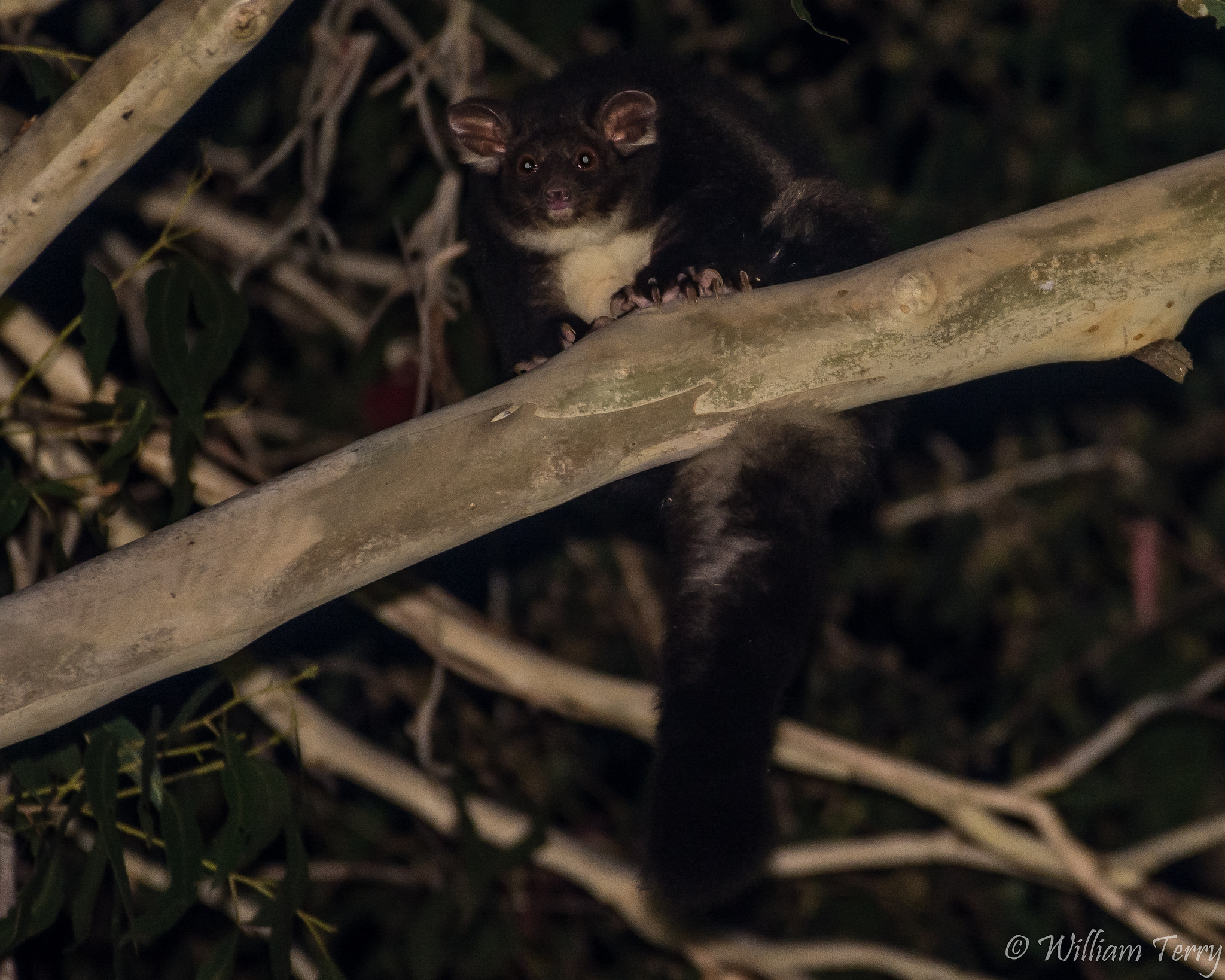 24472987998_c581bea458_k (1)