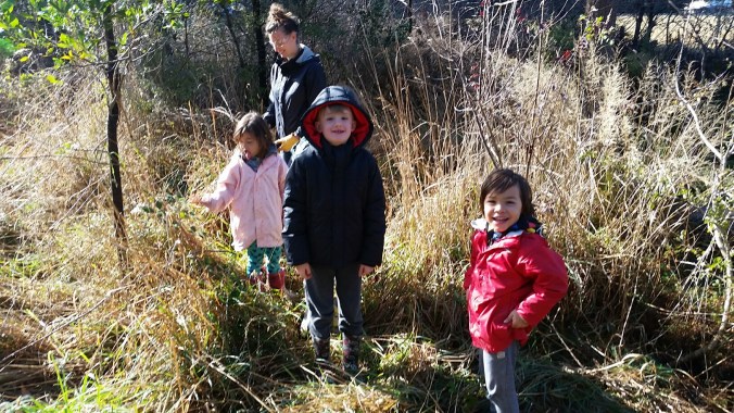 20180325_102232_resized