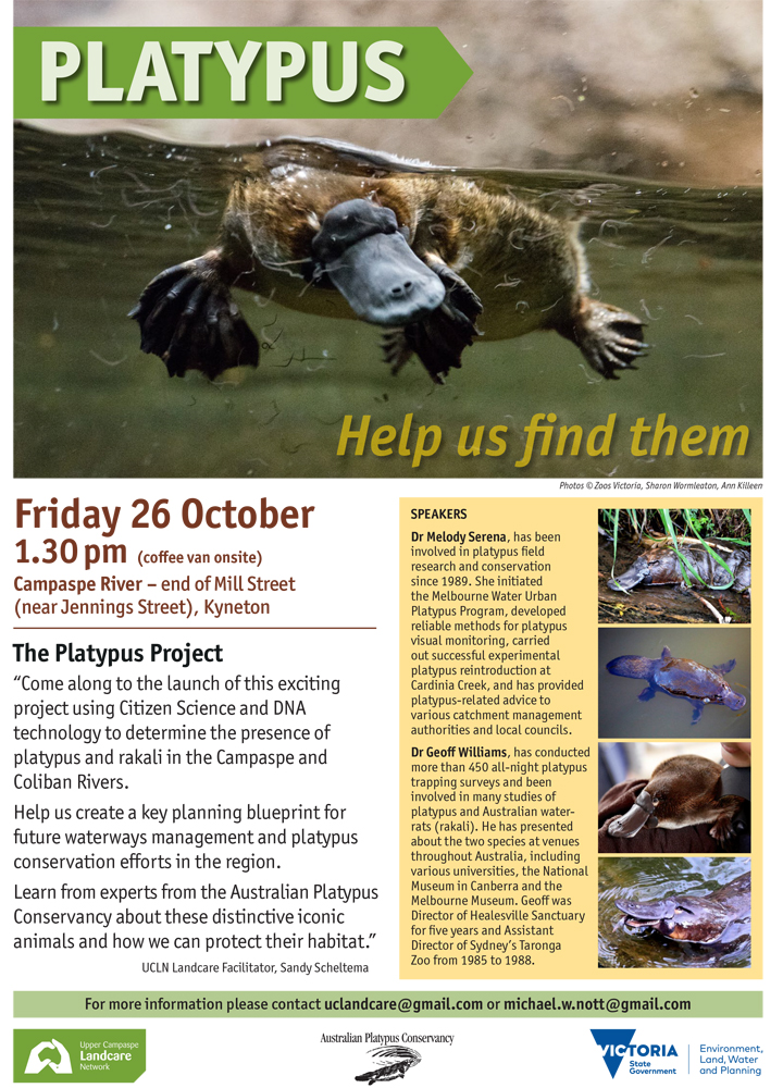 UCLN A4 Platypus poster_EMAIL