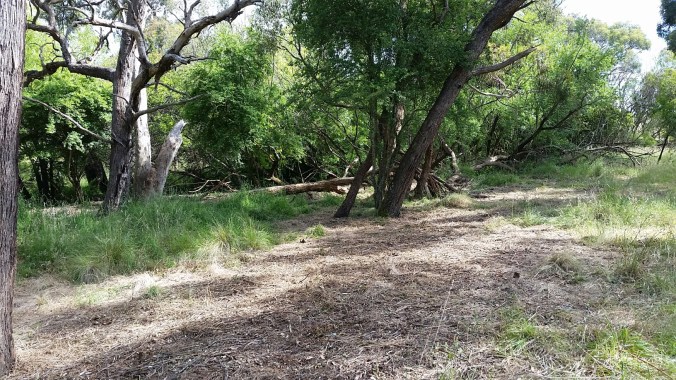 20181205_100757_resized