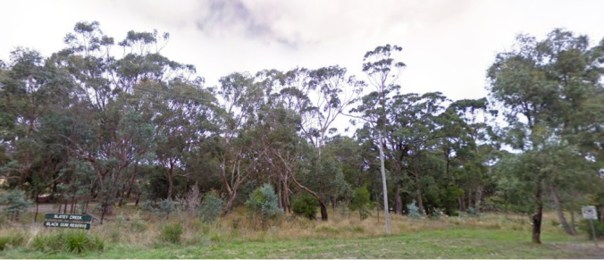 slatey-creek-reserve