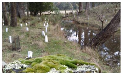 Weedmanagementonwaterways